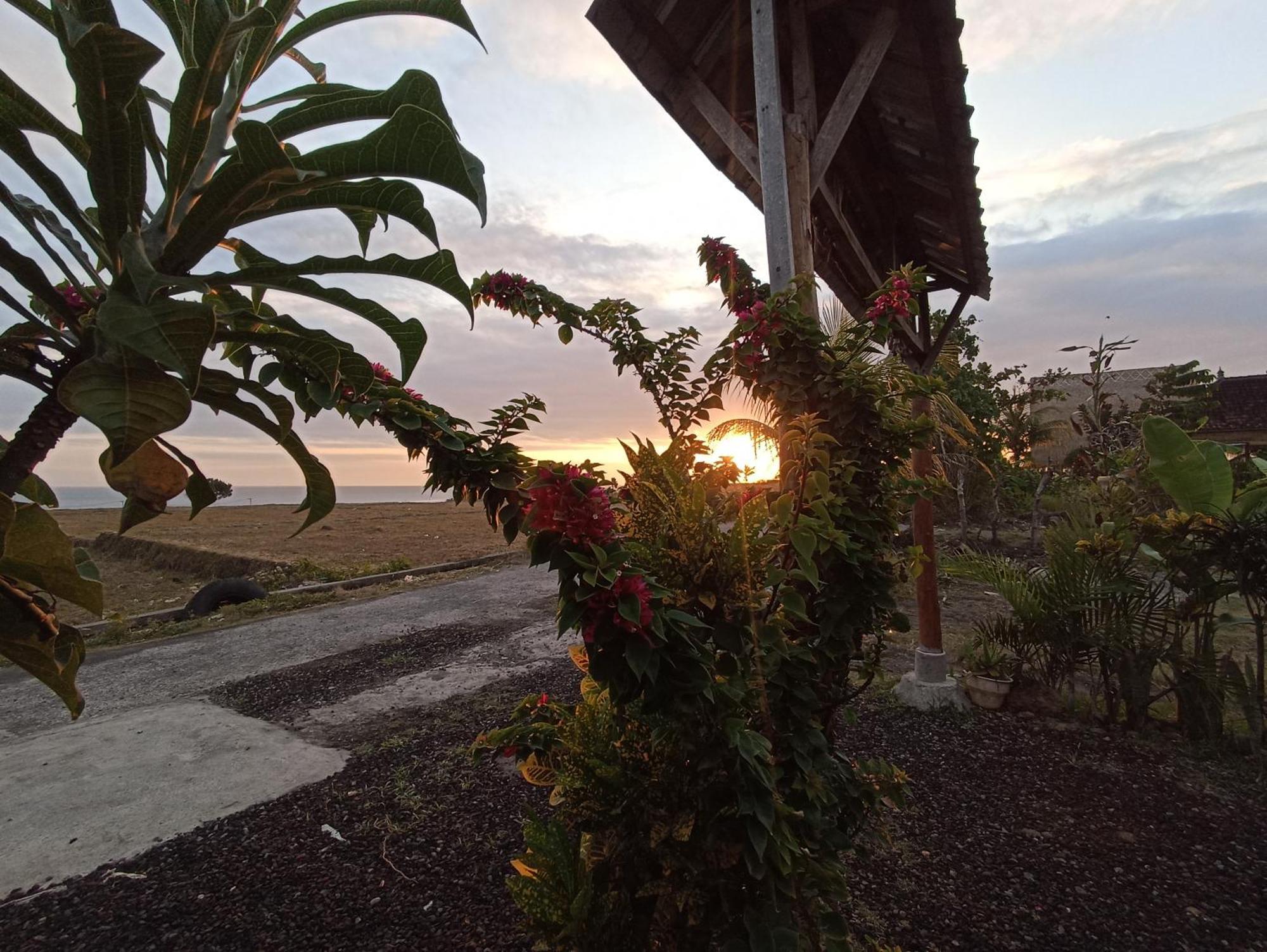 Ferienwohnung Ayolah Surf House &Surf Camp Jembrana Exterior foto
