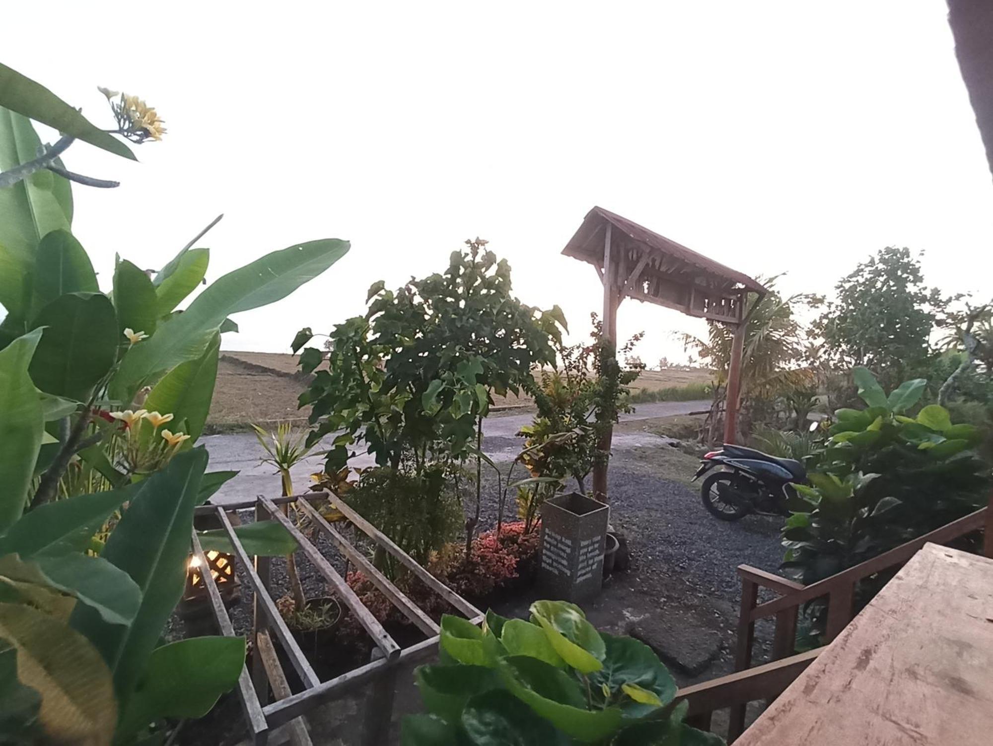 Ferienwohnung Ayolah Surf House &Surf Camp Jembrana Exterior foto